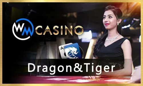 Taya333 Live Casino Game
